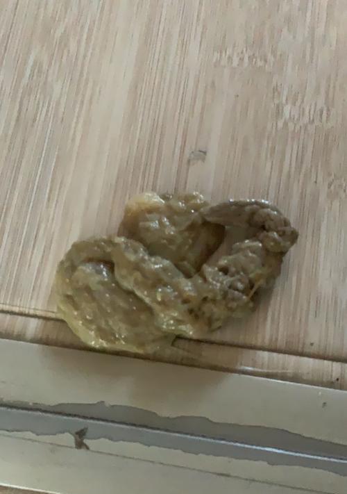 慢性细小症状全面解析（了解慢性细小症状及其治疗关键）