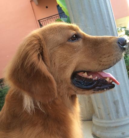 如何选择适合剃毛的时间（理发师告诉你最佳剃毛时间和方法）