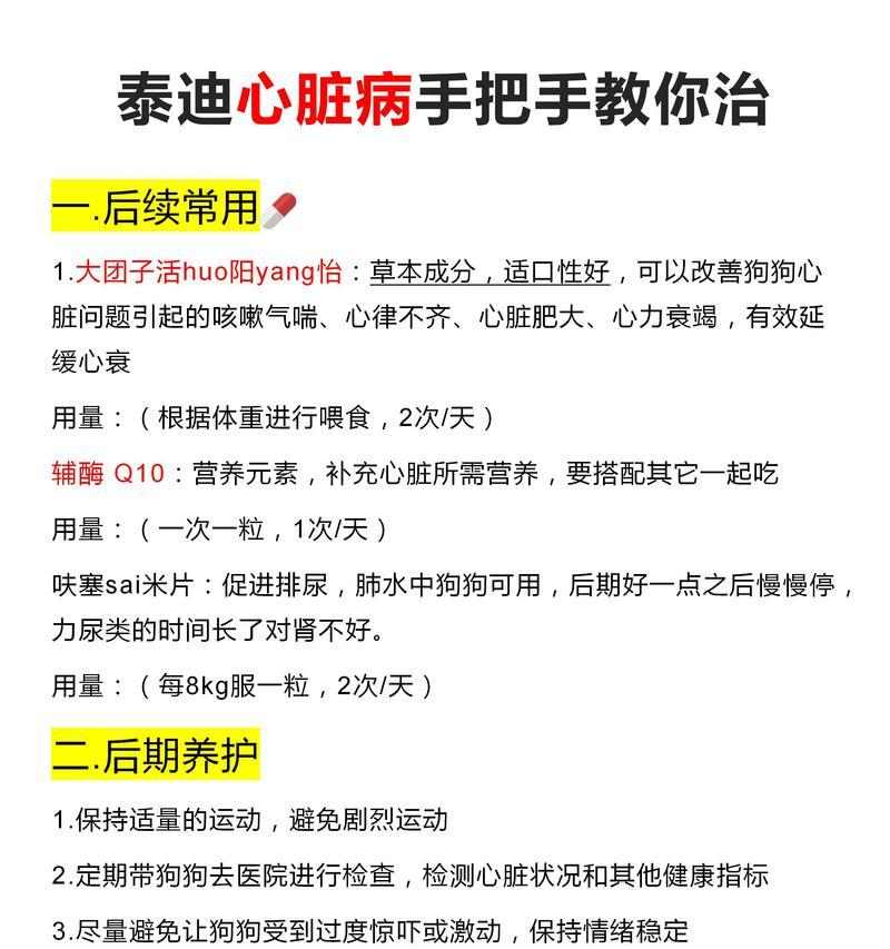 宠物泰迪七个月应该吃什么？（为您详细解析泰迪七个月的饮食需求）