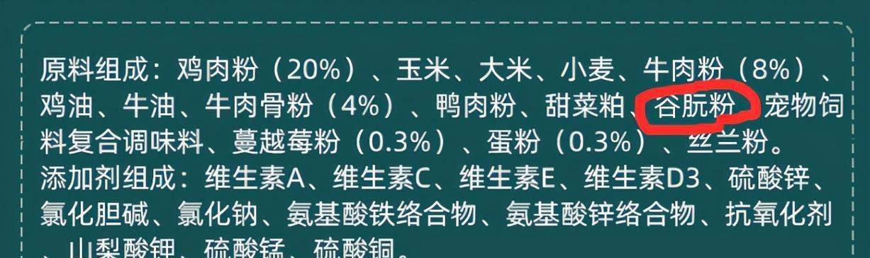 宠物泰迪七个月应该吃什么？（为您详细解析泰迪七个月的饮食需求）