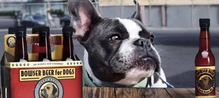 狗喝醉酒的后果（探究狗喝多了酒的危害与预防）