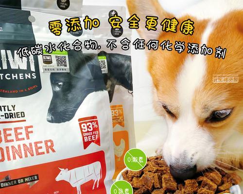 狗狗蛋白质需求全解析：如何为爱犬选择适宜的高蛋白食物
