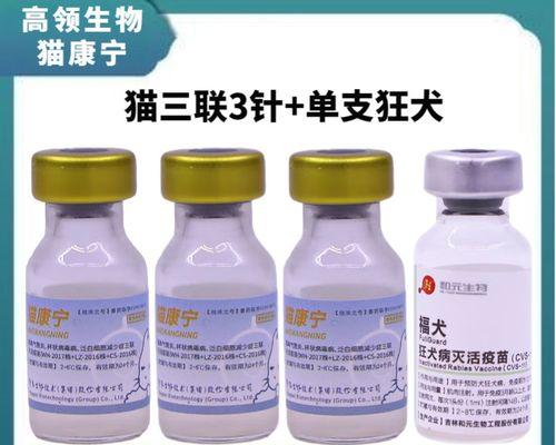 狗狗打疫苗，保护它的健康（了解狗狗常见的疫苗种类和接种时机）