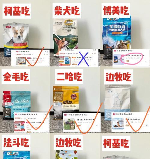 博美的饮食习惯与拉肚子的原因（揭秘博美的饮食偏好以及引发拉肚子的因素）