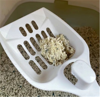 宠卫队混合猫砂