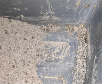 魔核抑菌小球猫砂