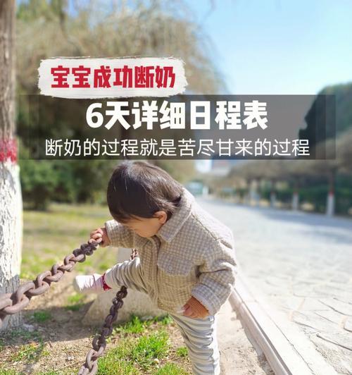 八哥犬的断奶时间及注意事项（了解八哥犬断奶时间，让宝宝更健康）