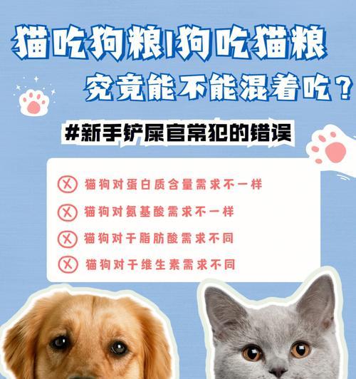为什么狗狗应该以犬粮为主食？（探讨狗狗为何需要犬粮以及其重要性）