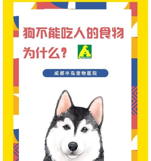 为什么狗狗应该以犬粮为主食？（探讨狗狗为何需要犬粮以及其重要性）