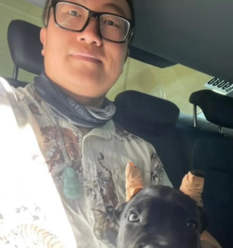 以养卡斯罗还可以养什么犬？（探索适合与卡斯罗相处的其他犬种）