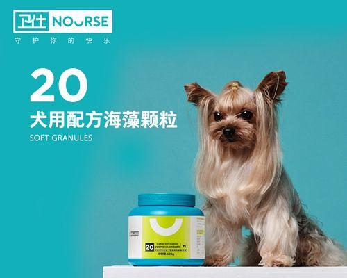 选购海澡粉，为你的爱犬带来清洁和舒适（海澡粉品牌推荐及选购要点）