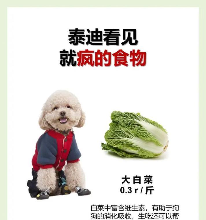 两个月大的比熊的适宜食物及喂养要点（探讨两个月大比熊的饮食习惯、营养需求及健康成长）