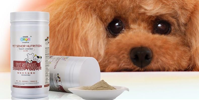 选购海澡粉，为你的爱犬带来清洁和舒适（海澡粉品牌推荐及选购要点）