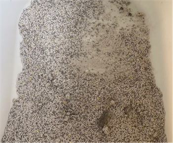 维利亚猫砂怎么样？