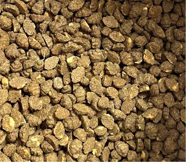 阿飞和巴弟蓝带烘焙猫粮