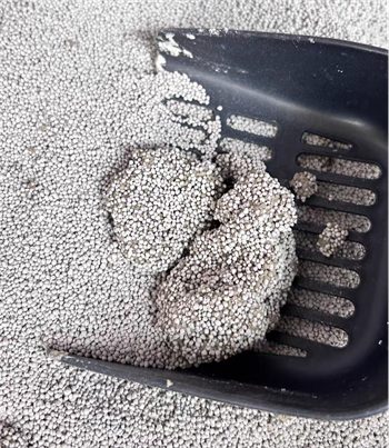 好适嘉猫砂好用吗