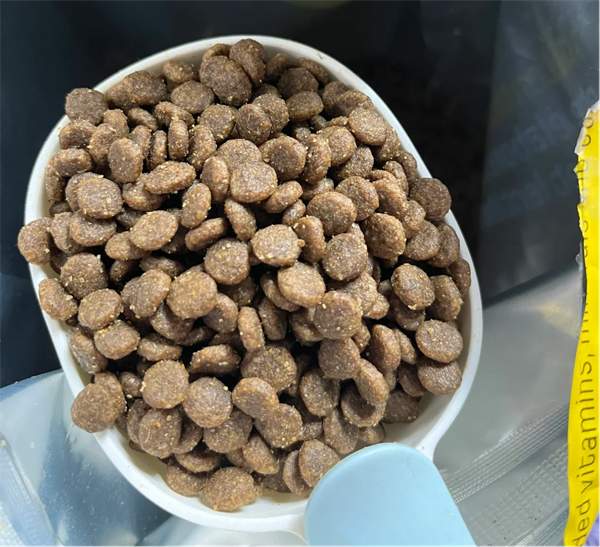 纽顿狗粮好不好