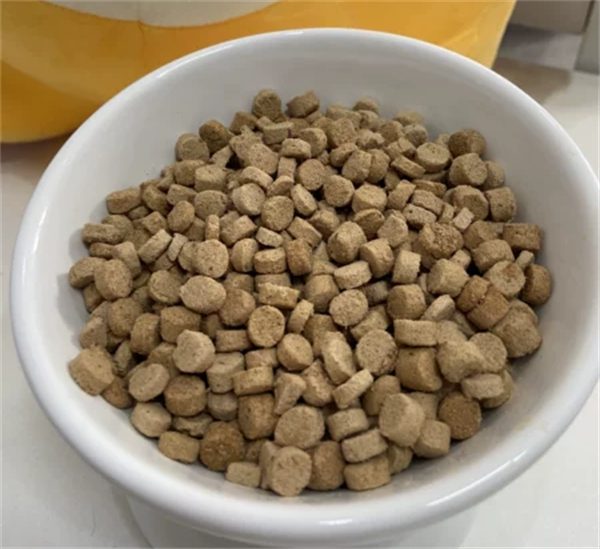 猫友爱烘焙猫粮怎么样？