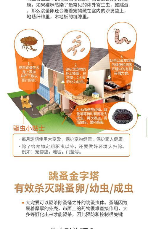 猫驱虫药多久见效？了解作用机制与正确使用指南