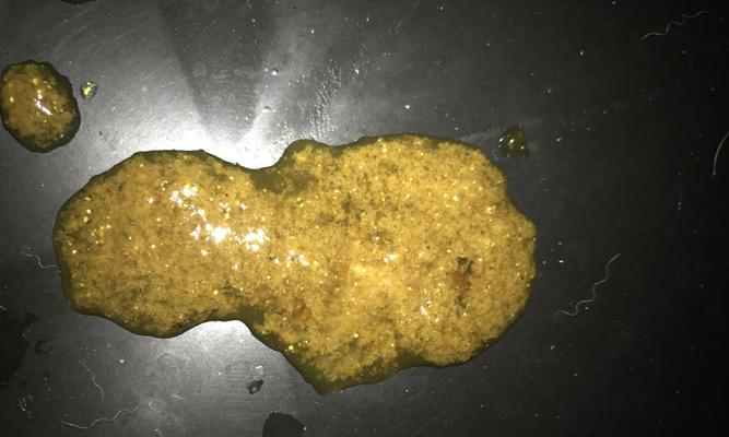 拉布拉多粪便颜色揭示健康状况，不同颜色对应哪些健康信号