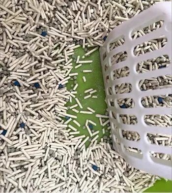 班奈混合豆腐猫砂