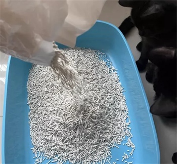 毛球殿下豆腐猫砂