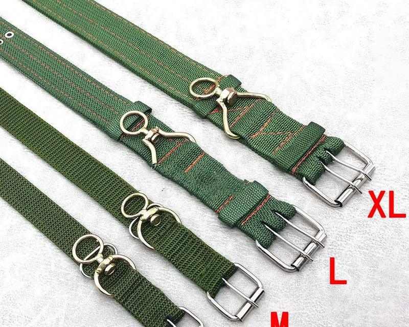 如何挑选狗狗舒适项圈 提升宠物生活体验