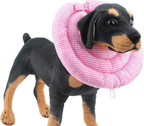 如何挑选狗狗舒适项圈 提升宠物生活体验