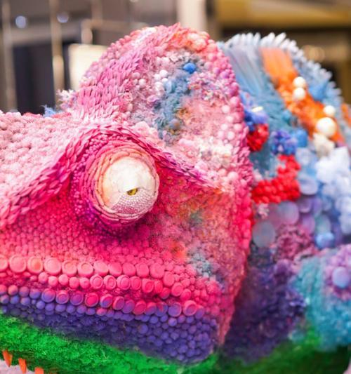 高冠变色的饮食偏好与健康价值解析