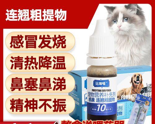 狗狗流鼻涕咳嗽怎么办？科学用药指南