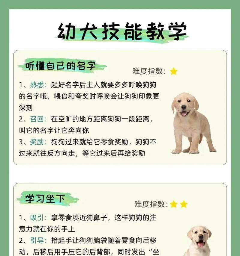 为你的狗取个好名字（探寻狗名字的选择原则及灵感来源）