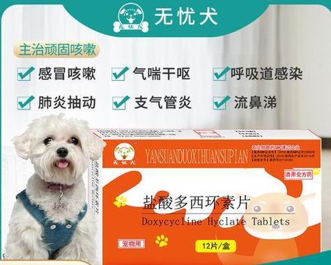 狗狗吐了？这些药能治！（解决狗狗呕吐问题的药物及注意事项）