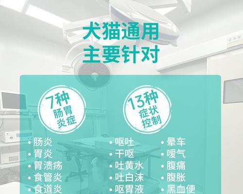 狗狗呕吐怎么办？常用药物与护理指南