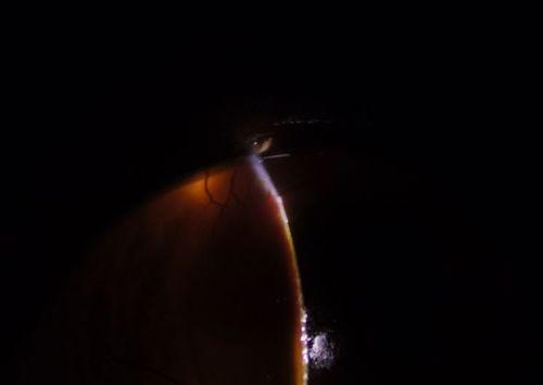 猫眼中的黑色物质之谜，揭秘神秘与守护的力量