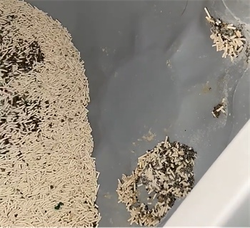 喵达红袋混合猫砂怎么样？