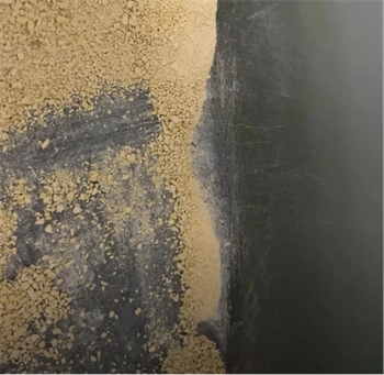 猫不理狗子小米猫砂