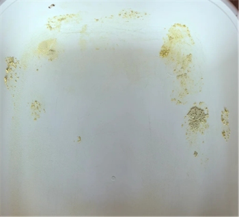 猫不理狗子猫砂