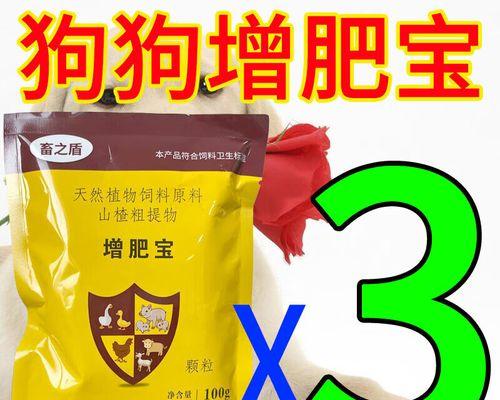 科学选狗粮 预防犬只体重失控问题