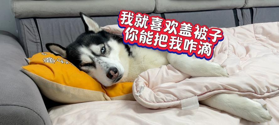 睡觉盖被子的好处与重要性解析