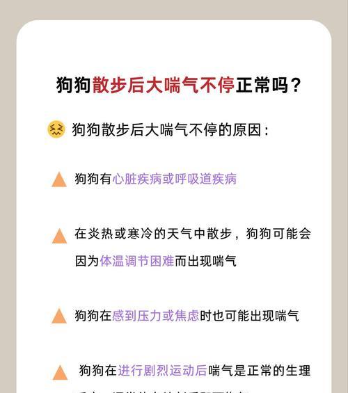 狗狗为什么会伸舌头喘气？（探究狗狗喘气的原因及其重要性）