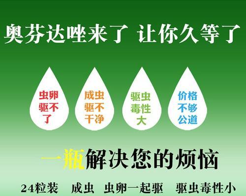 狗狗驱虫方法全解析，守护健康的关键