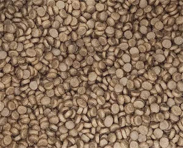 养了个毛孩的猫粮好不好