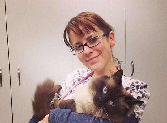 选择以喜欢宠物为主题的工作机会（发展激情并与动物共享的梦想）