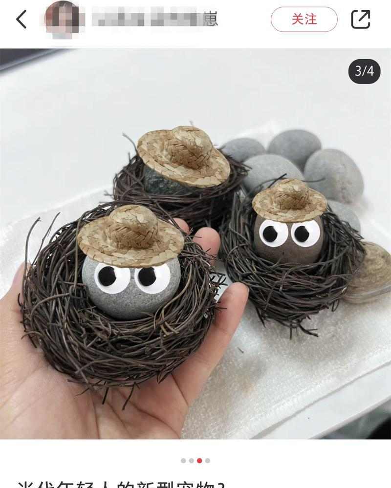 选择以喜欢宠物为主题的工作机会（发展激情并与动物共享的梦想）