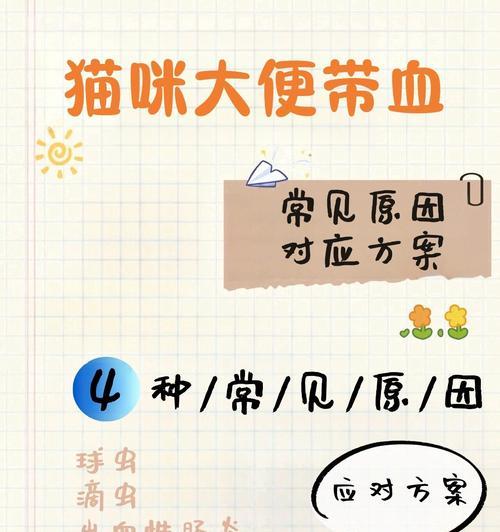 猫粪便稀的常见原因及预防方法
