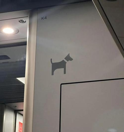 如何带狗狗乘坐火车（火车旅行必备指南，让您的狗狗安心快乐出行）