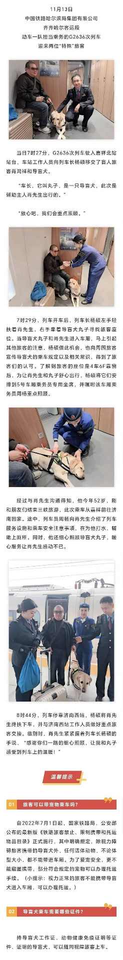 如何带狗狗乘坐火车：安心快乐出行全攻略