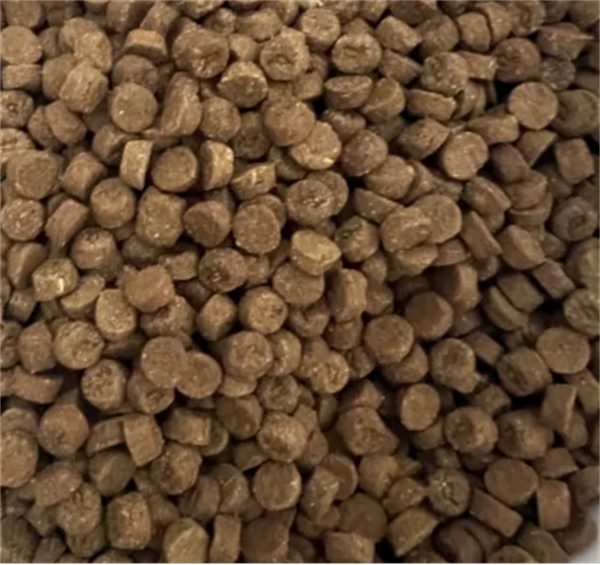 东边猫粮适口性