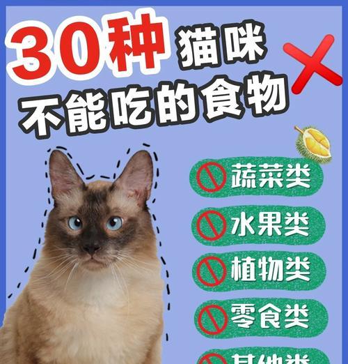 猫咪饮食禁忌与安全食物全解析
