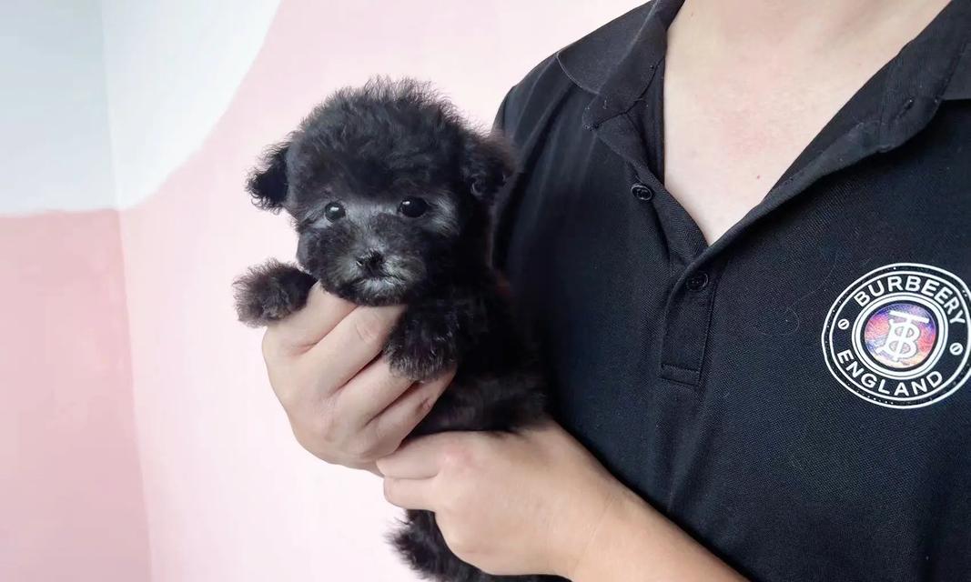 以太迪与25体身高：探索人类成长的非凡现象